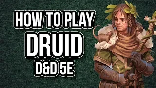 HOW TO PLAY DRUID