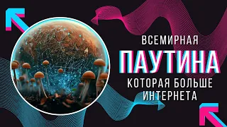 Всемирная Паутина, которая больше Интернета