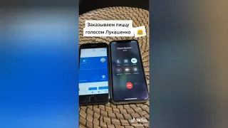 Пранк в Tiktok: "А есть ли у вас пицца с картошкой?" голосом Лукашенко. Перехваченный разговор