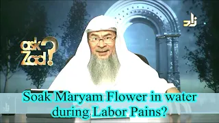 Soak Maryam Flower in water during delivery to relieve labor pains? - Assim al hakeem