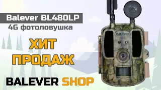 Balever BL480LP | Лучшая 4G фотоловушка | #фотоловушка #леснаякамера #trailcamera