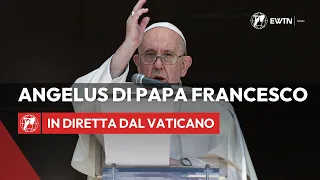 🔴 LIVE | Angelus di Papa Francesco | 8 ottobre 2023