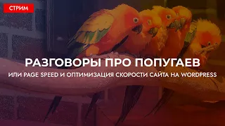 Что такое Page Speed, как он работает и общая оптимизация скорости сайта на WordPress