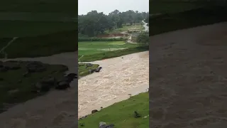 The river is full of water while it was raining heavily. #river #full #water #raining #very  #heavy.