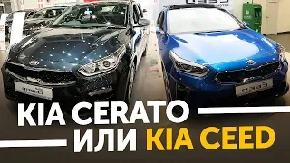 В Питер за машиной! Новый Kia Cerato 2018 или Новый KIA Ceed 2018. Модельный ряд KIA / ТИХИЙ