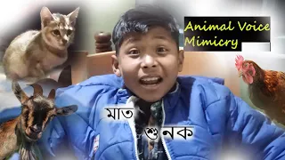 Animal Voices Mimicry | #cat #Goat #Chicken #Dog | Dhru Vlogs #Dhruvlogs |
