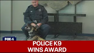 Dallas officers with Star of Texas Award