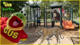 Pretend Play Catching Real Zoo Animals at the Outdoor Playground Park