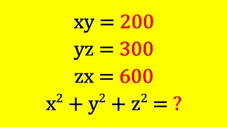 A Nice Algebra Equations | Math Olympiad