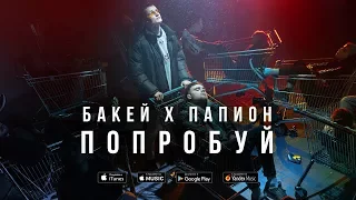 Бакей x Папион – Попробуй