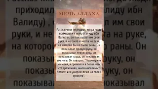 Халид ибн Аль Валид