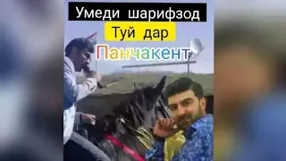 Умеди Шарифзод туй дар Панчакент