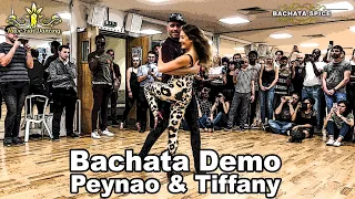 Bachata demo dance by Peynao & Tiffany, Daniel Santacruz - Ella Baila