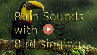 🌧️🦜🎶 8 Hours of Rain sounds with bird singing, Nature sounds 🌧️🦜🎶