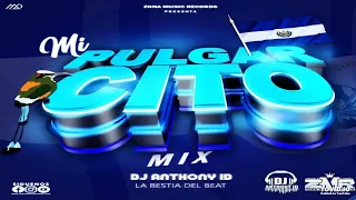 Mi Pulgarcito Mix (DJ Anthony ID) 🇸🇻 Zona Music Records