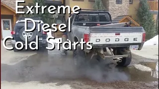 New Extreme Diesel Cold Starts compilation 82