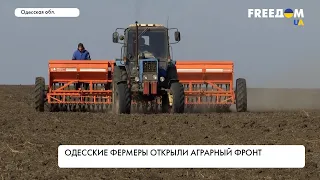 Посевная во время войны: одесские фермеры открыли аграрный фронт