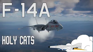 F-14A: This thing is quick!  [War Thunder - Dev Server ]