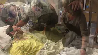 Dog says the final goodbye to his dying mate In hospital...