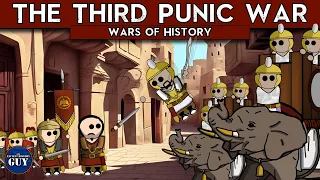 The Third Punic War | Wars of History