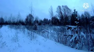 Охота на тетерева с лунок 👣👣👣🌲🌲🦃🦃🦃🏹🏹🏹