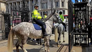 Fed Up: Horse Does This and King's Guard Comes Back to Aid the Horseman at Horse Guards London