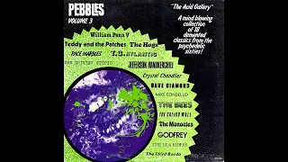 Pebbles Vol. 3 "The Acid Gallery"