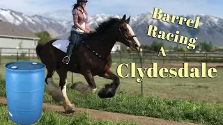 Barrel Racing a Clydesdale!