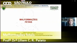 Malformações fetais – Profª Drª Liliam C. R. Paiato