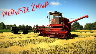 🌾Pierwsze żniwa bizonkiem🤠rolnik z woli🔥fs19