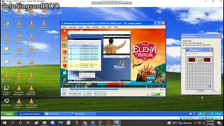 Queen Elena Love OS has BSOD VM (Windows XP)