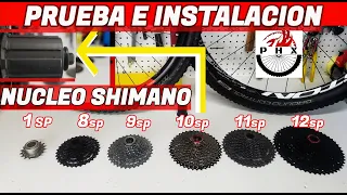 MTB CASSETTES PARA NUCLEO SHIMANO PRUEBA E INSTALACION/MTB BICICLETA BICYCLE BICI