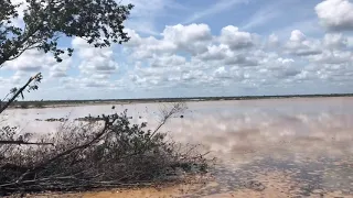 Flamingo!!! Прекрасные фламинго. САНТА ЛЮСИЯ. КУБА