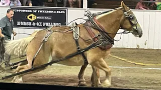 Horse Pull: 12ft Elimination at Fryeburg Fair 2023