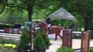 Video of FIBONACCI ridden by CHRISTOPHER PAYNE from ShowNet!