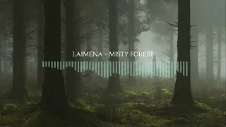 Misty Forest - Calm Instrumental Music (Original Composition)