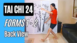 Tai Chi 24 Forms 1-2 Back View: Starting & Part the Wild Horse's Mane