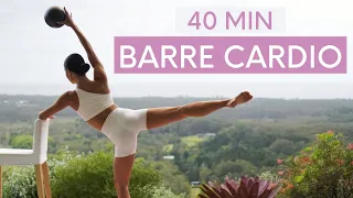 40 MIN CARDIO BARRE & PILATES || Mini Ball Workout (Low Impact Options)