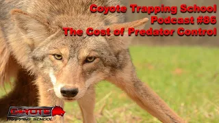 86 - The Cost of Predator Control - Coyote Trapping School Podcast