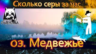 ФАРМ НА МЕДВЕЖКЕ КАК И НА ЧТО ЛОВИТЬ #рр4