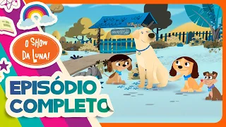 COMO OS CÃES OUVEM? 🐶 Episódio Completo l O Show da Luna!