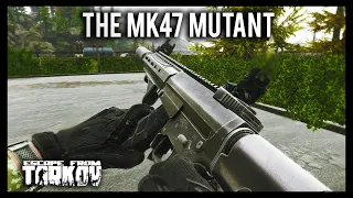 MK47 MUTANT - PvP & First Raids - Escape from Tarkov