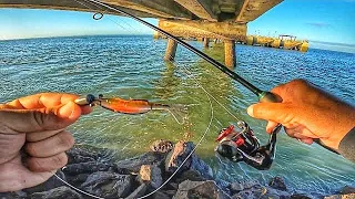 DICAS - PESCARIA DE ROBALO NAS PEDRAS DO MAR - ELES NÃO RESISTEM A ESSE CAMARÃO! Pega muito!