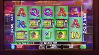Cash cove jackpot Free games in Free games!!