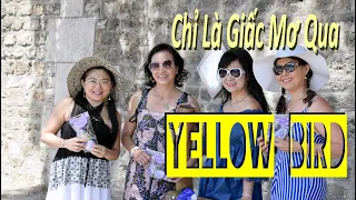 Yellow Bird - Chỉ Là Giấc Mơ Qua (Goombay Dance Band  - Thúy Vi - Như Mai)