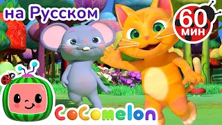 Танец Животных🐺🐱 | Сборник 1 Час | CoComelon на русском — Детские песенки