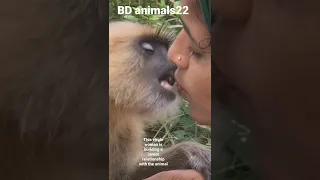 This virgin woman is developing a sweet relationship with the animal BD animals22