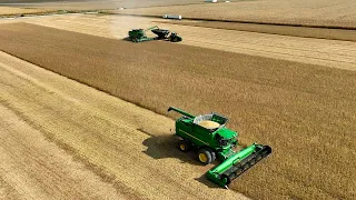 Farmer Shares Yields From Driest Season In Years