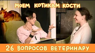 26 вопросов ветеринару про кошачье здоровье // Даша Федотова у Тимоновой и Пушкина