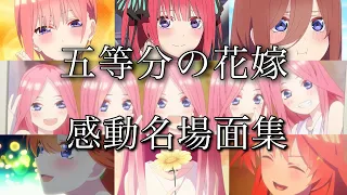 【感動AMV/MAD】五等分の花嫁【ありがとうの花】